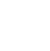 100. Yıl Logo